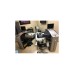 Alcon Wavelight FS200